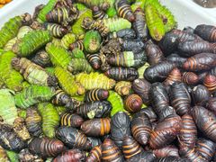 -映像威海·海鲜味道(经区店)