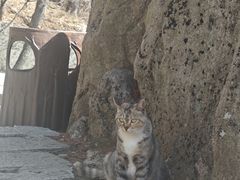 -崂山巨峰游览区