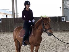 -松声马术俱乐部