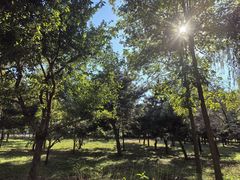 -绿堤公园