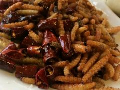 -东巴谷野生菌火锅餐厅