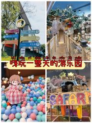 -卡通尼·Safari非洲探索乐园·生日会(金桥国际商业广场店)