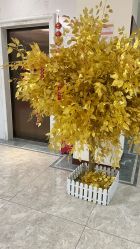 -贝安心月子中心(昌平店)