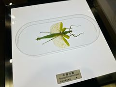-上海昆虫博物馆