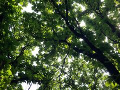 -沈阳辉山风景区