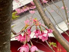 -梁鸿国家湿地公园