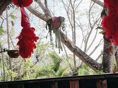 -西双版纳傣族园
