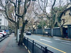 -明复图书馆