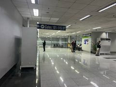 -尼诺伊·阿基诺国际机场T1航站楼