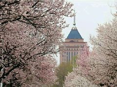 -吉林大学(南岭校区)