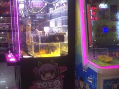 -城市动力(弘桥商城店)