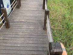 -太湖湖滨国家湿地公园-停车场