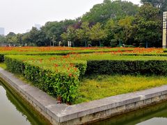 -洛阳市隋唐城遗址植物园