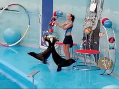 -尼莫海豚馆