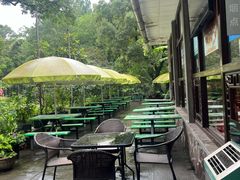 -绿野餐厅(上海动物园店)