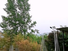 -午后庭院