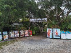 -芭厘农庄老字号·清远鸡