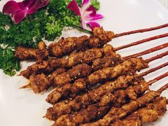 红柳羊肉串-鱼乐乐(Happy Fish)