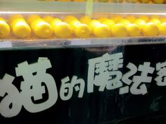 -猫的魔法密林(衣裳街店)
