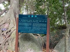 -亚龙湾热带天堂森林公园