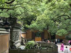 -普陀山风景名胜区-法雨禅寺