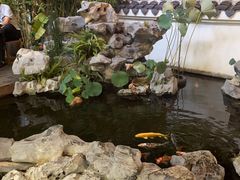 -道南書院·私房菜·早午茶·茶馆