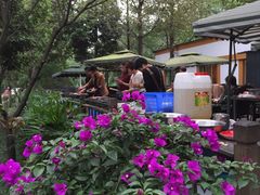 -白鹭湾湿地公园