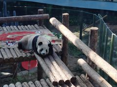 -大连森林动物园