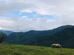 -硗碛藏寨·神木垒景区