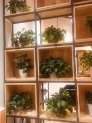 -曼都发型·臻选