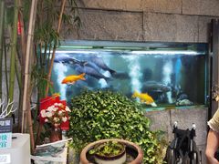 -又见炊烟私房菜(敬亭路店)