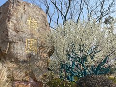 -东南大学(九龙湖校区)
