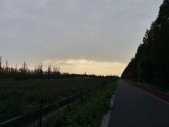 -上海长兴岛郊野公园