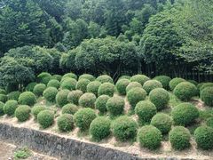 -兰亭风景区