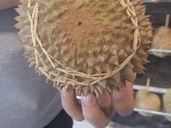 -都念榴莲·城市榴莲