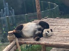 -大连森林动物园