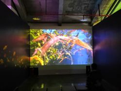 -恐龙探索乐园(磁器口店)