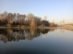-月湖风景区
