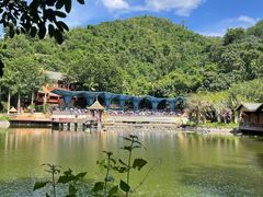 -西双版纳原始森林公园