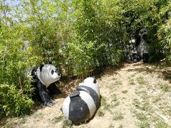 -武清南湖绿博园