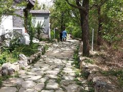 -阳台山自然风景区