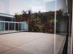 -金泽21世纪美术馆