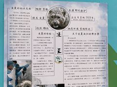 -青藏高原野生动物园