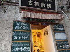 -古树酸奶(八廓南街店)