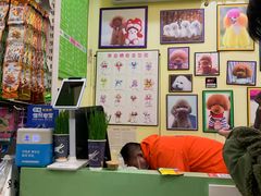 -家有小宠宠物美容(双楠街店)