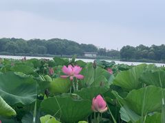 -云龙湖旅游景区