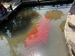 -白马涧龙池景区