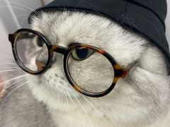 -佳雯宠物医院(金华南路分院)