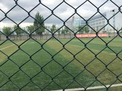 -山东鲁能乒乓球学校