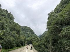 -西安祥峪森林公园